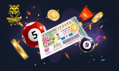 casino_3